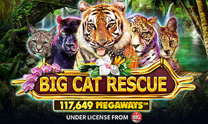v9bet Big Cat Rescue Megaways